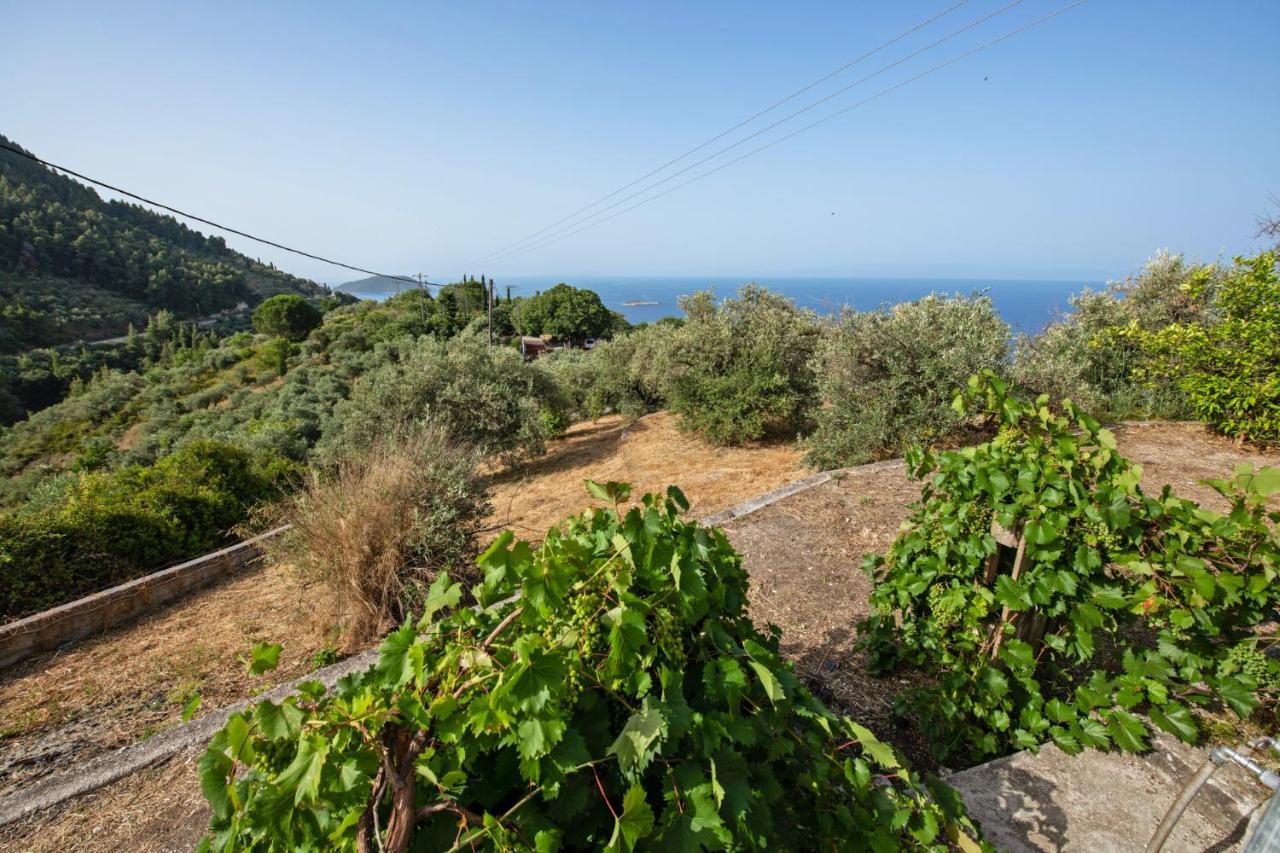 Oneiro Cottage Skopelos Exterior foto